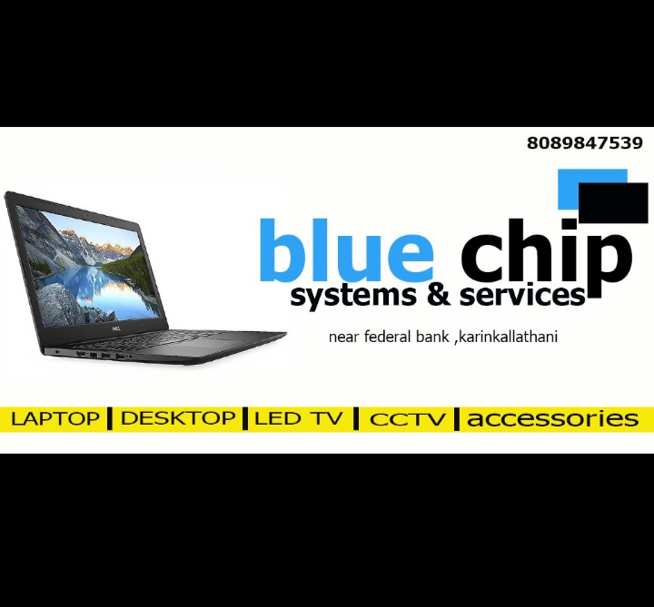 BLUE CHIP SYSTEMS AND SERVICES KARINKALLATHANI